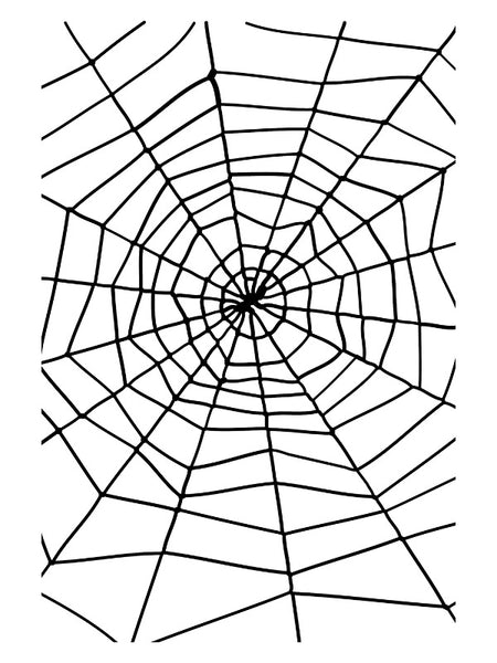 Spider & Spiders Web, Black