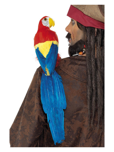 Parrot 50cm / 20in, Multi-Coloured