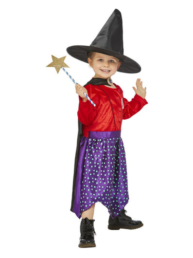 Julia Donaldson Room On The Broom Costume