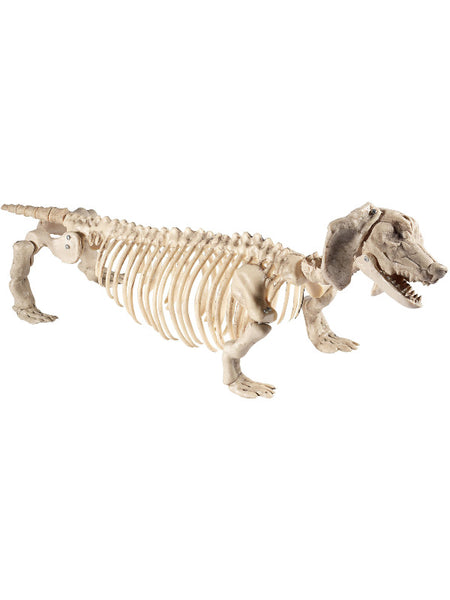 Dog Skeleton Prop, Natural