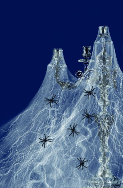 Medium Spider Web Decoration